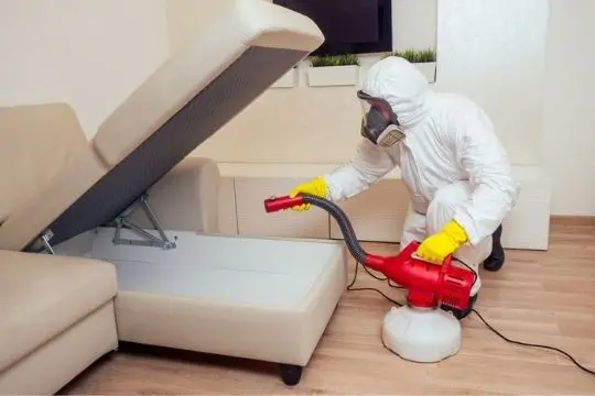 bed bug extermination kleinburg