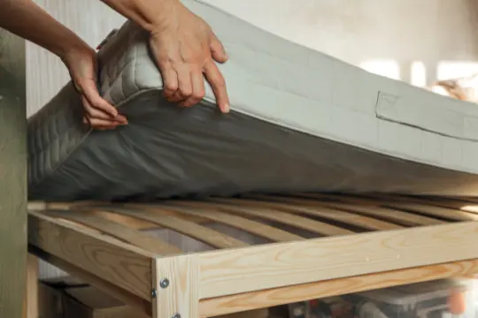 bed bug preparation kleinburg