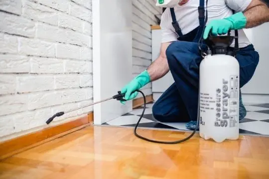 bed bug prevention kleinburg