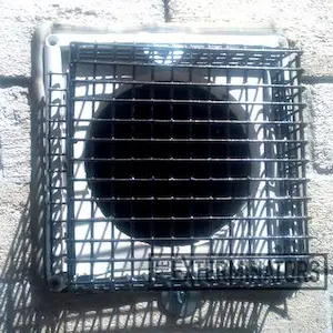 mouse exclusion kleinburg