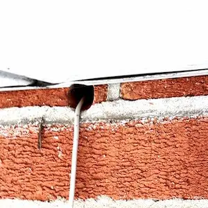 mouse inspection kleinburg