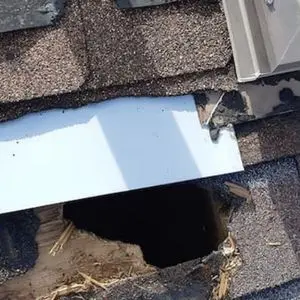raccoon inspection kleinburg