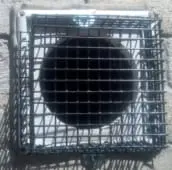 rat exclusion kleinburg