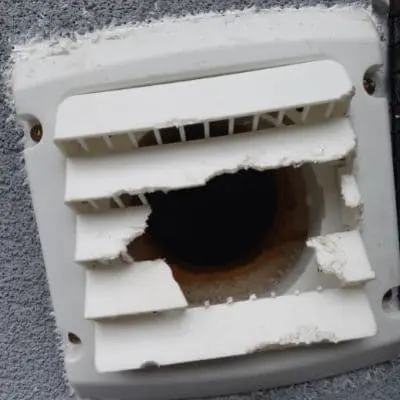 rat property damage kleinburg