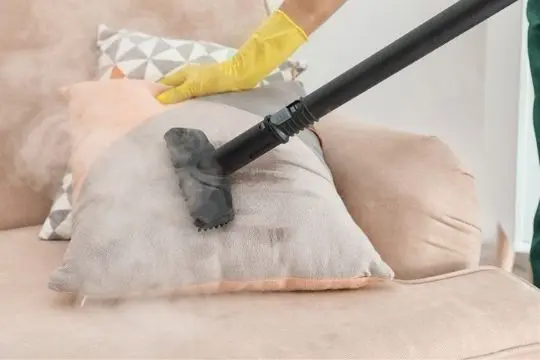 steam bed bug treatment kleinburg